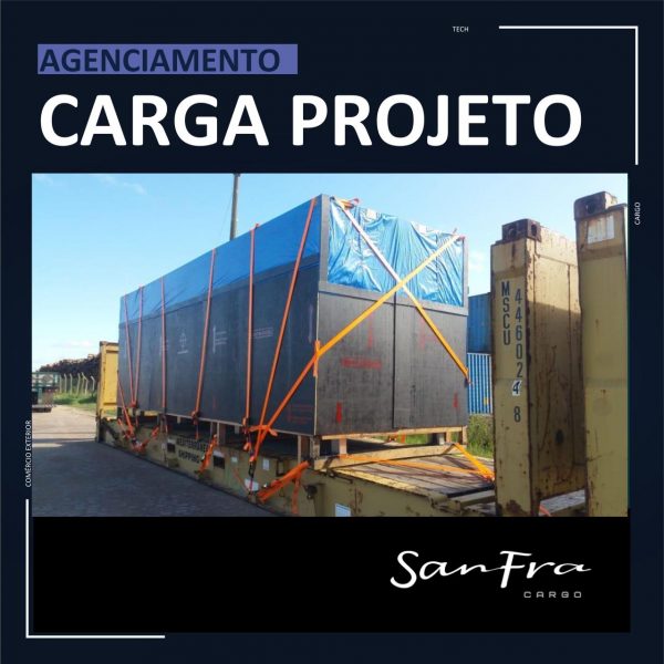 CARGA DE PROJETO